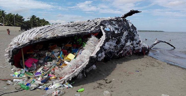 torontofishsave's tweet photo. A Greenpeace Philippines representation of a dead whale from ingestion of #plastic. The representation is increasingly becoming a reality. 
64 lbs of plastic debris was found inside the male sperm whale 🐳💔

#fish #vegan https://t.co/UYyakuFkDe
