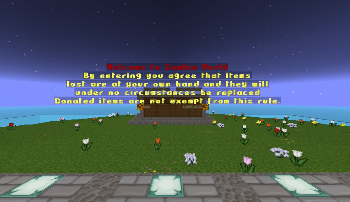 XyloniaMC's tweet photo. A world where Zombies take over... kill them all! https://t.co/LGjoChWvew