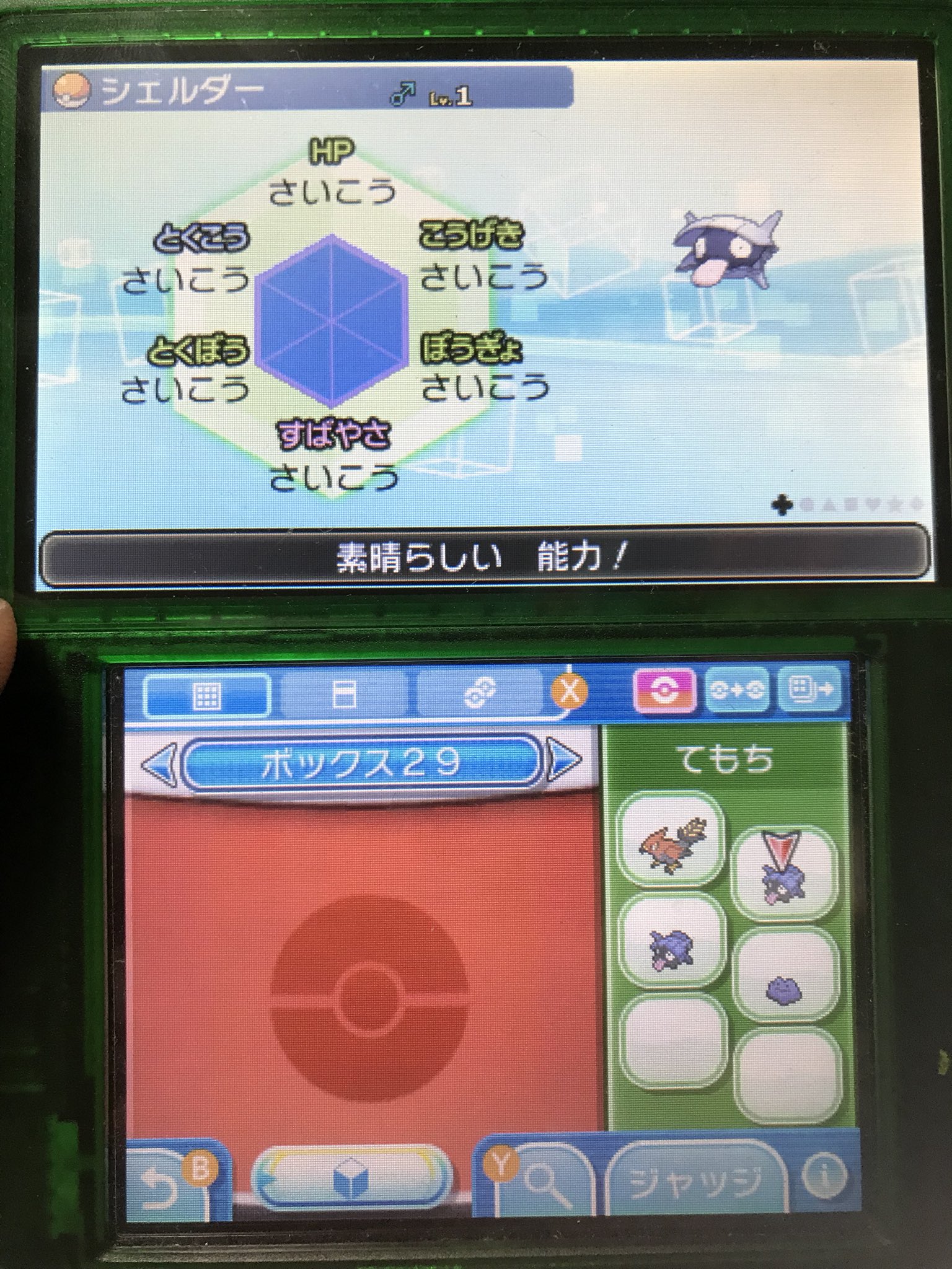 ポケモン6v記録 Twitter