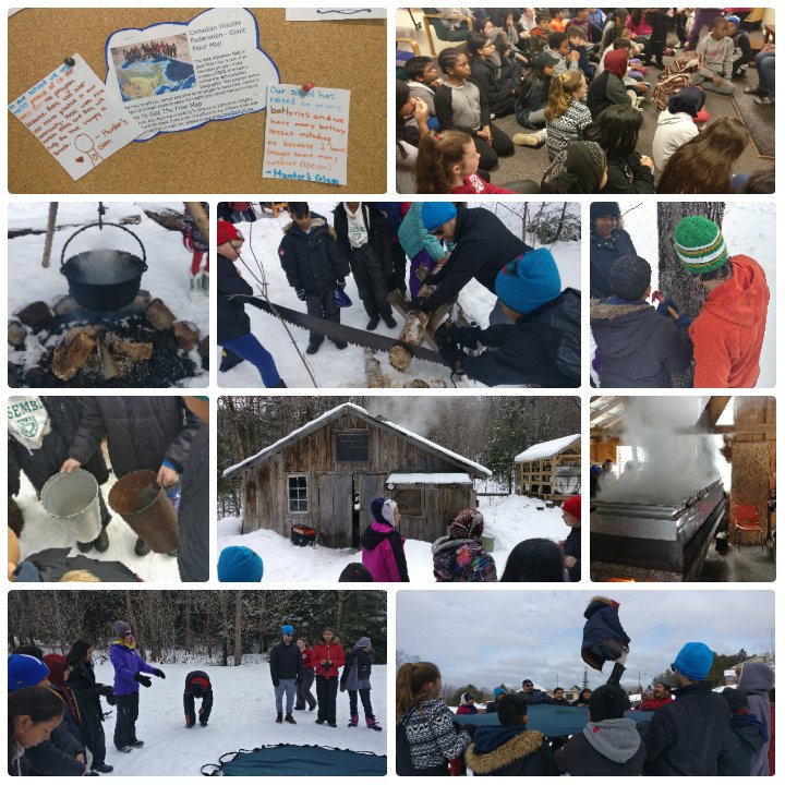 123WithMrC's tweet photo. Day 3.. Final day for @HuntersGlenJPS Grade 6's at camp @SOESKearney! Activities include Inuit Games "Blanket Toss", visiting the "Sugar Shack" and setting our #Eco goals! #SugaryGoodness #HighFlyingFun #HomeTime #OutdoorEd @schan_tdsb @LC3_TDSB @tdsb https://t.co/aXx40Ggf6A
