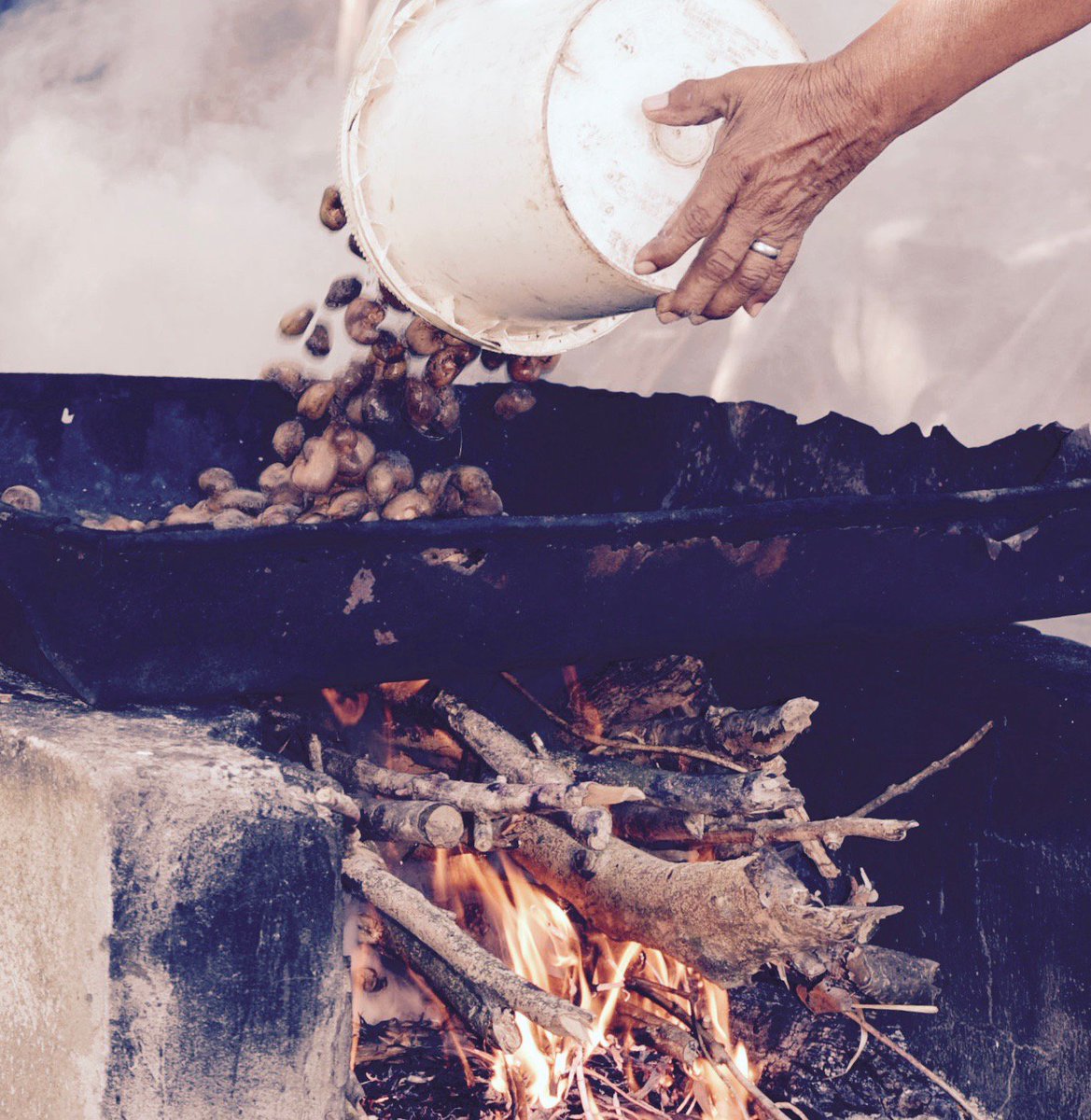jkwillettmd's tweet photo. Learning how to roast fresh cashews in Guyana:
1. Collect cashews.
2. Dump on metal tray on top of huge roaring fire.
3. Roast until everything is flaming.
4. Tip onto ground & let cool.
5. Pound roasted nuts until they crack & are easy to shell.
6. NOMS
#DocPhotography https://t.co/Vvfi4BvaPj
