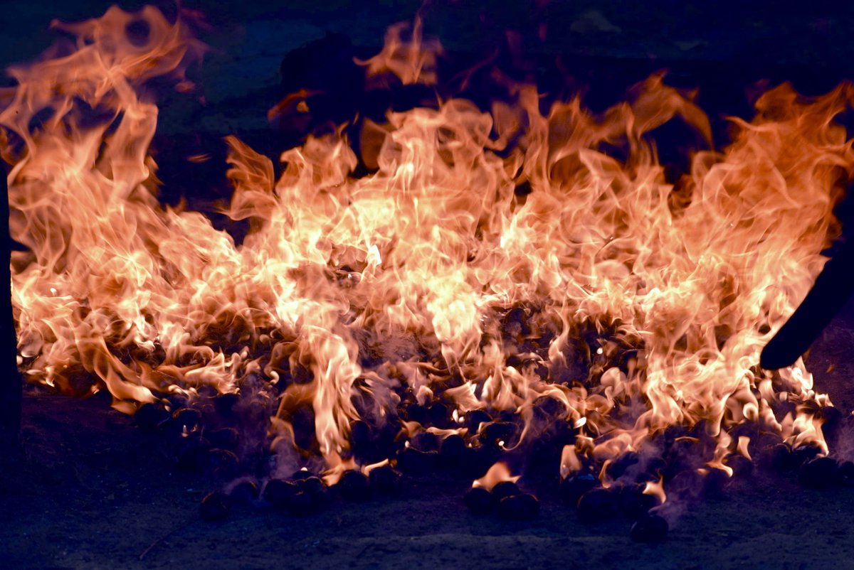 jkwillettmd's tweet photo. Learning how to roast fresh cashews in Guyana:
1. Collect cashews.
2. Dump on metal tray on top of huge roaring fire.
3. Roast until everything is flaming.
4. Tip onto ground & let cool.
5. Pound roasted nuts until they crack & are easy to shell.
6. NOMS
#DocPhotography https://t.co/Vvfi4BvaPj