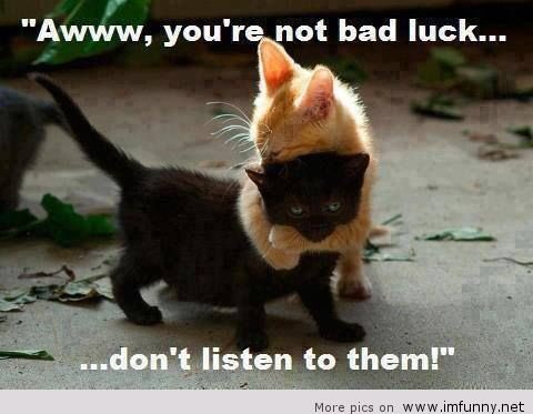 LoadedPixel's tweet photo. Happy Friday the 13th!! Who says today has to be full of bad luck?! Here me some Friday tonight 13th humor for you!🙃🙂😉😋 #LoadedPixel #LoadedPixelCreative #photography #film #fun #media #News #videoediting #Videoproduction #friday #fridaymood #fridaythe13th https://t.co/D3HtRYkpfZ