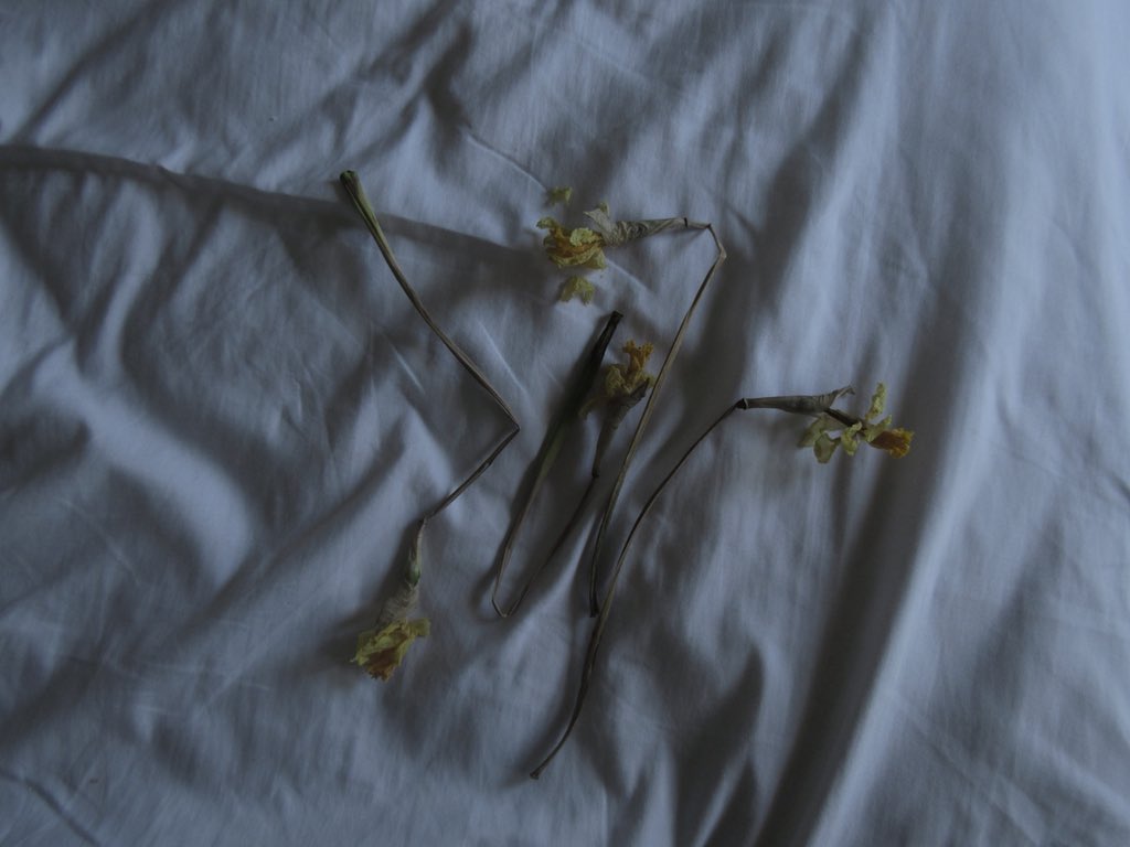 mywholeass's tweet photo. some photos i took that look hella good unedited https://t.co/7wdJC1GQ3s