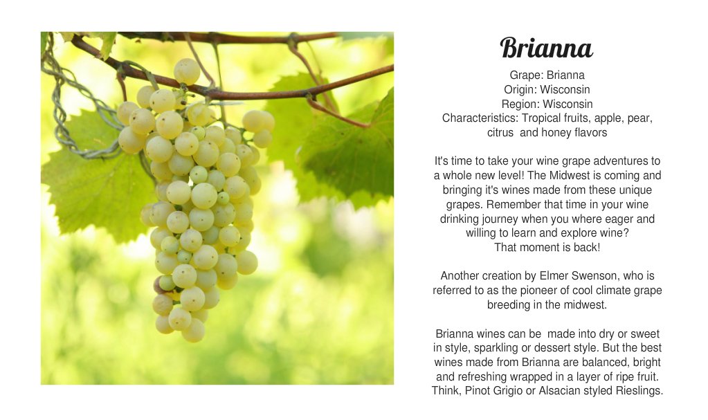 VinoDiscoveries's tweet photo. Are you familiar with these #wine grapes? Over the next 7 days I will be sharing with you the wine grapes that are grown in the Midwest. #LetYourPalateBeTheGuide #winelovers #winelife #winetasting #WisconsinWines #WisconsinWineGuy #WisconsinWineTalk https://t.co/HUpFS6b8e3