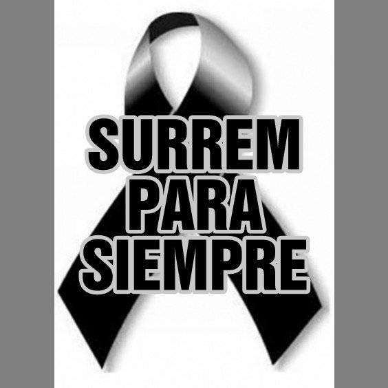 PiniAlvarezG's tweet photo. Nueva Foto De Perfil

SURREM PARA SIEMPRE 
#ElSultan https://t.co/l2xFUGsY4q