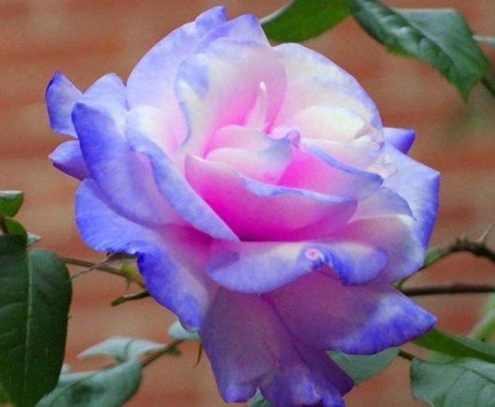 digor_77's tweet photo. One more time whole world need more faith, respect, unity and knowledge for promove the peace between nations and peoples. For God, please, we want and wait so anxious by fraternity, the final's wars, terrorism, all type's intolerance and violence.
#PrayForSiria #PrayforWW https://t.co/dtJBEpUVQh