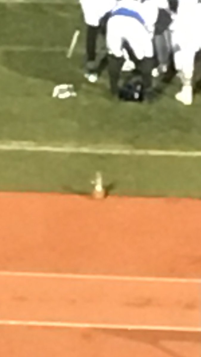 cece_succulent's tweet photo. Not exactly the weather @OneP1neapple is used to, but I see you out here #thriving #skowolves https://t.co/2HecqiAoge