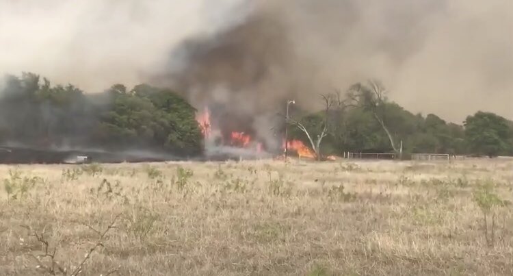 FOX15Abilene's tweet photo. GRASS FIRE update from Hawley, Tx: Our @eresendiztv is on the scene, make sure to tune in tonight at 10 for updates #335fire #txfire https://t.co/AQ1N7xTgfS