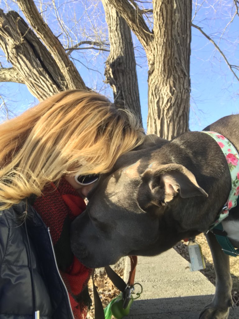 NoellDance's tweet photo. @Mommadot @6abc That is a shame-my pit bull loves &amp; snuggles w/ everyone she meets.  But I get it- i am afraid of little yappy, fluffy, pure bred dogs. 🐶🐶 https://t.co/nt089rFK8i