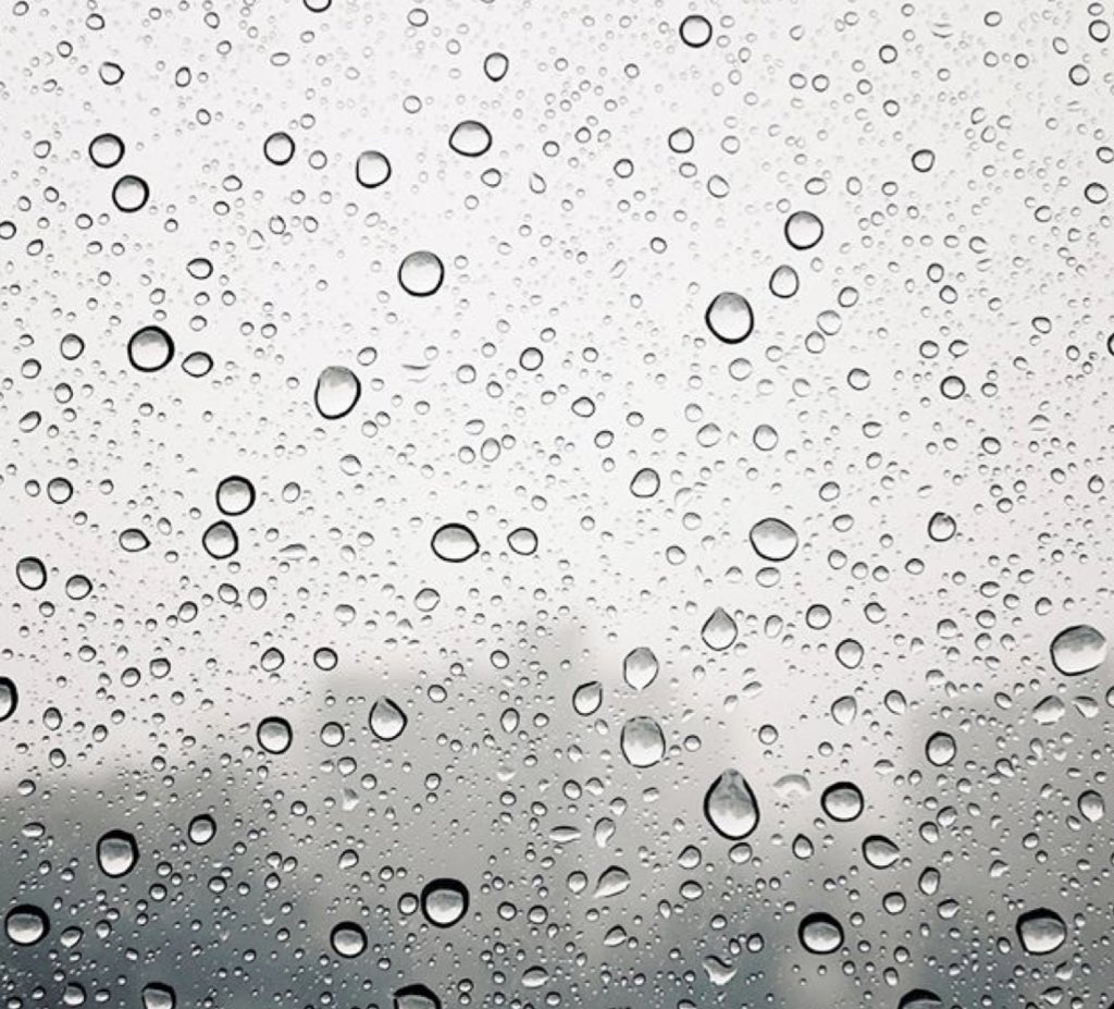 하늘에서 떨어지는 이 빗방울이 대체 뭐라고...첫사랑이 떠오르고, 사랑하는 사람을 그리워하고, 용기없어 말못한 것들을 말하고, 평소 가슴에 담고있던 모든 것들을 쏟아내게 된다.
나도 그래서 비를 좋아할지도.