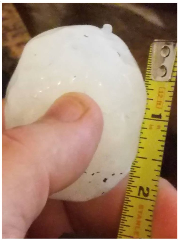bosqueemc's tweet photo. @NWSFortWorth Photo of Hen Egg size hail from the Smiths Bend area of Bosque County (8 Miles S of Laguna Park). Hail occurred at 7:20pm. Photo by Roger Bowles #txwx #ctxwx https://t.co/gBRxPmcCR1