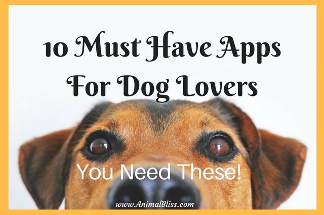 NWPetFair's tweet photo. 10 Must Have Apps For Dog Lovers: You Need These! https://t.co/OIrmLyIq2b https://t.co/IdAzZRHBKd