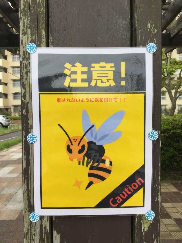 Kohno Katsuyuki Vaccinated Pf Pf Mo Al Twitter 隣の団地の藤棚にこんな貼紙 クマバチが来るからだと思うが まず刺されることはない 全てハチは刺す という間違った認識が世の中で共有されてしまっているのだろう イラストはスズメバチっぽいし