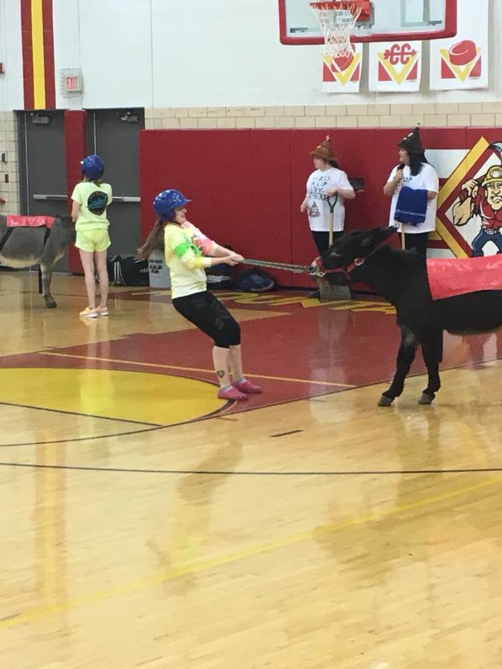 Mibstudco's tweet photo. Hilarious students vs. staff games of donkey basketball at MI-B!!! 🐴🏀🤣 https://t.co/aYpO9XGlv2