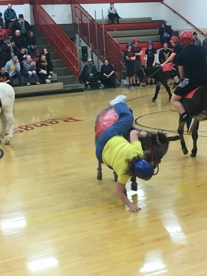 Mibstudco's tweet photo. Hilarious students vs. staff games of donkey basketball at MI-B!!! 🐴🏀🤣 https://t.co/aYpO9XGlv2
