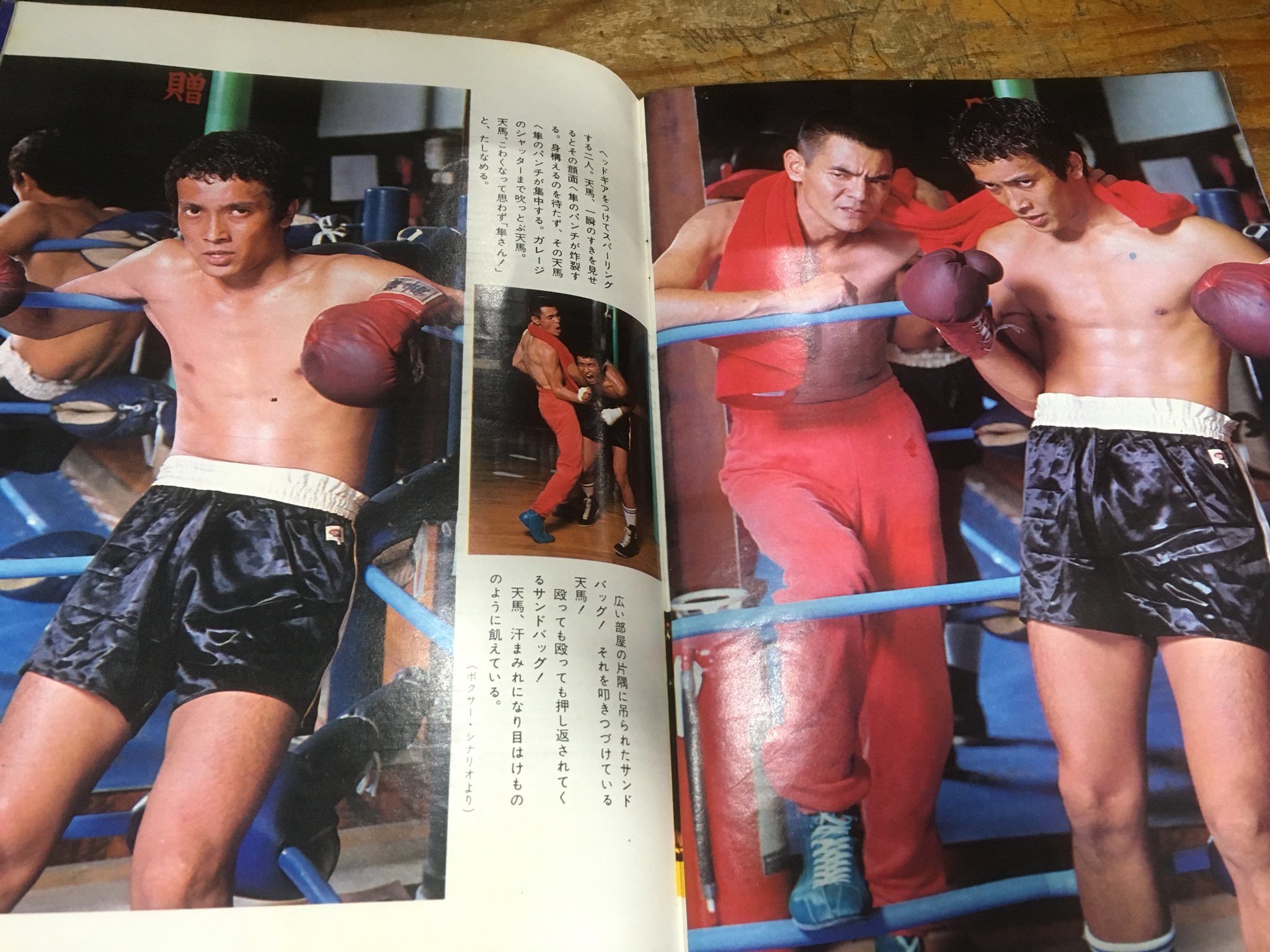 徳川龍之介 時までの短縮営業中 No Twitter 激レア 清水健太郎 青春の彷徨 さすらい 迫写 健太郎のすべて を店頭に 1977年 スポニチ出版 菅原文太 ボクサー T Co Kavkwdgunz Twitter