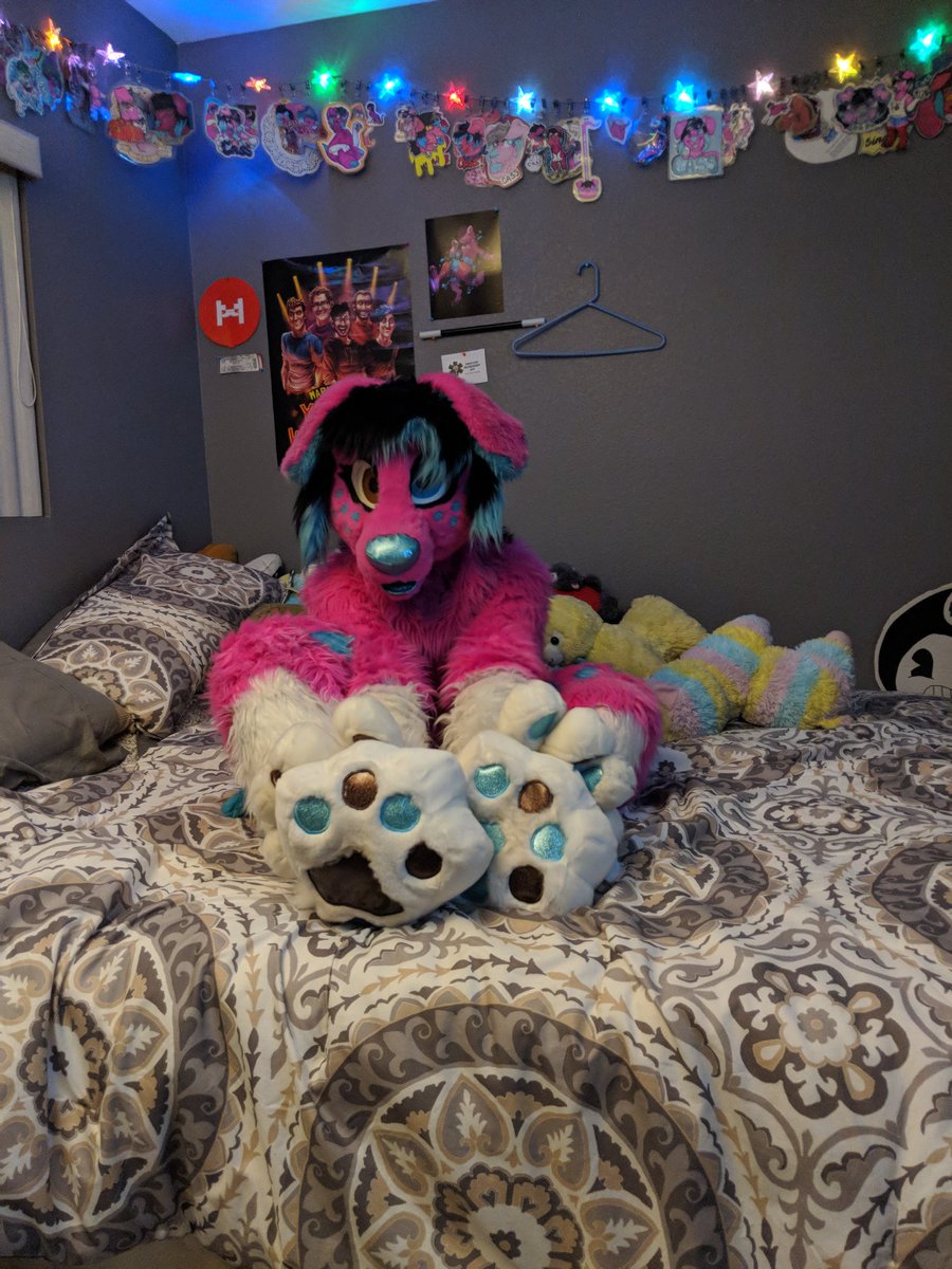 CassMutt's tweet photo. Happy #FursuitFriday !! Come cuddle me <3

#cassmutt #furry #fursuit #footpawfriday #headsandtailsstudios https://t.co/J14U5kWr3c
