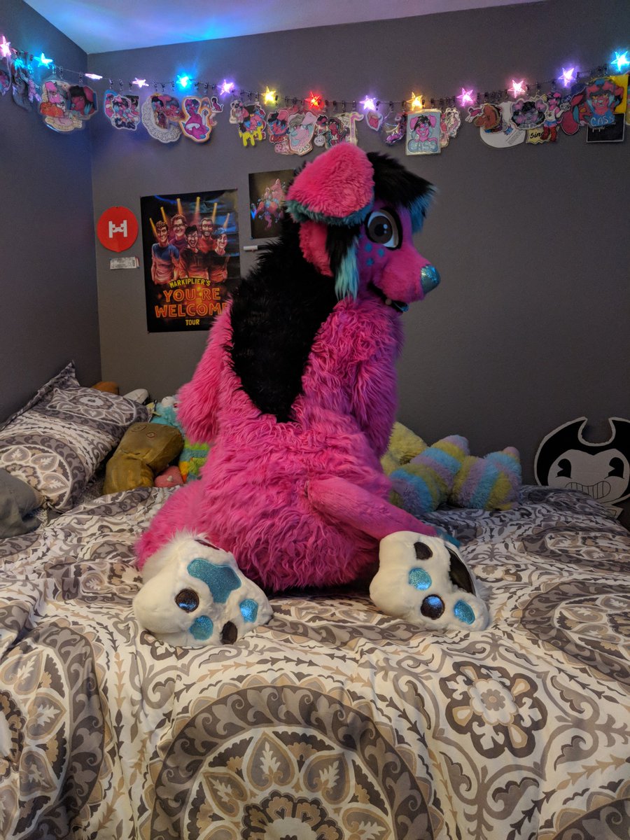CassMutt's tweet photo. Happy #FursuitFriday !! Come cuddle me <3

#cassmutt #furry #fursuit #footpawfriday #headsandtailsstudios https://t.co/J14U5kWr3c