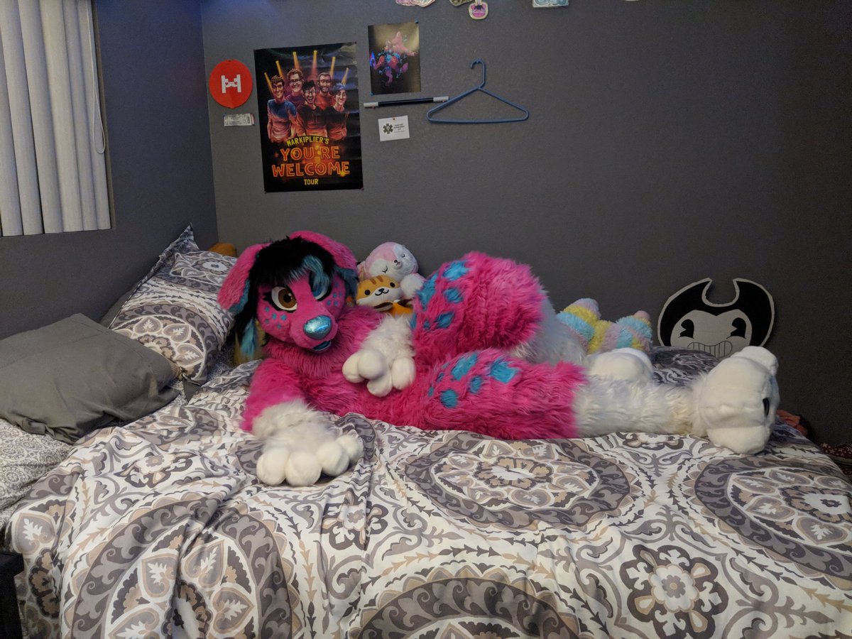 CassMutt's tweet photo. Happy #FursuitFriday !! Come cuddle me <3

#cassmutt #furry #fursuit #footpawfriday #headsandtailsstudios https://t.co/J14U5kWr3c
