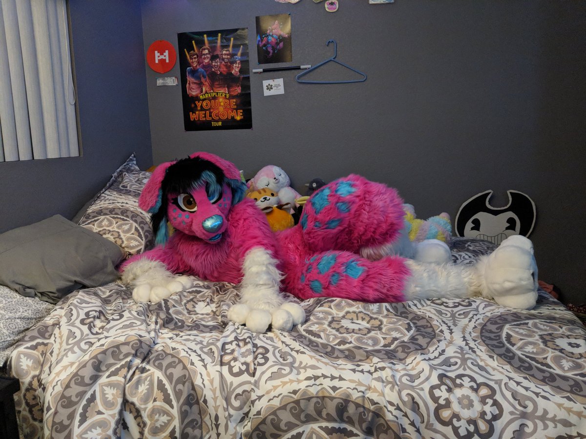 CassMutt's tweet photo. Happy #FursuitFriday !! Come cuddle me <3

#cassmutt #furry #fursuit #footpawfriday #headsandtailsstudios https://t.co/J14U5kWr3c