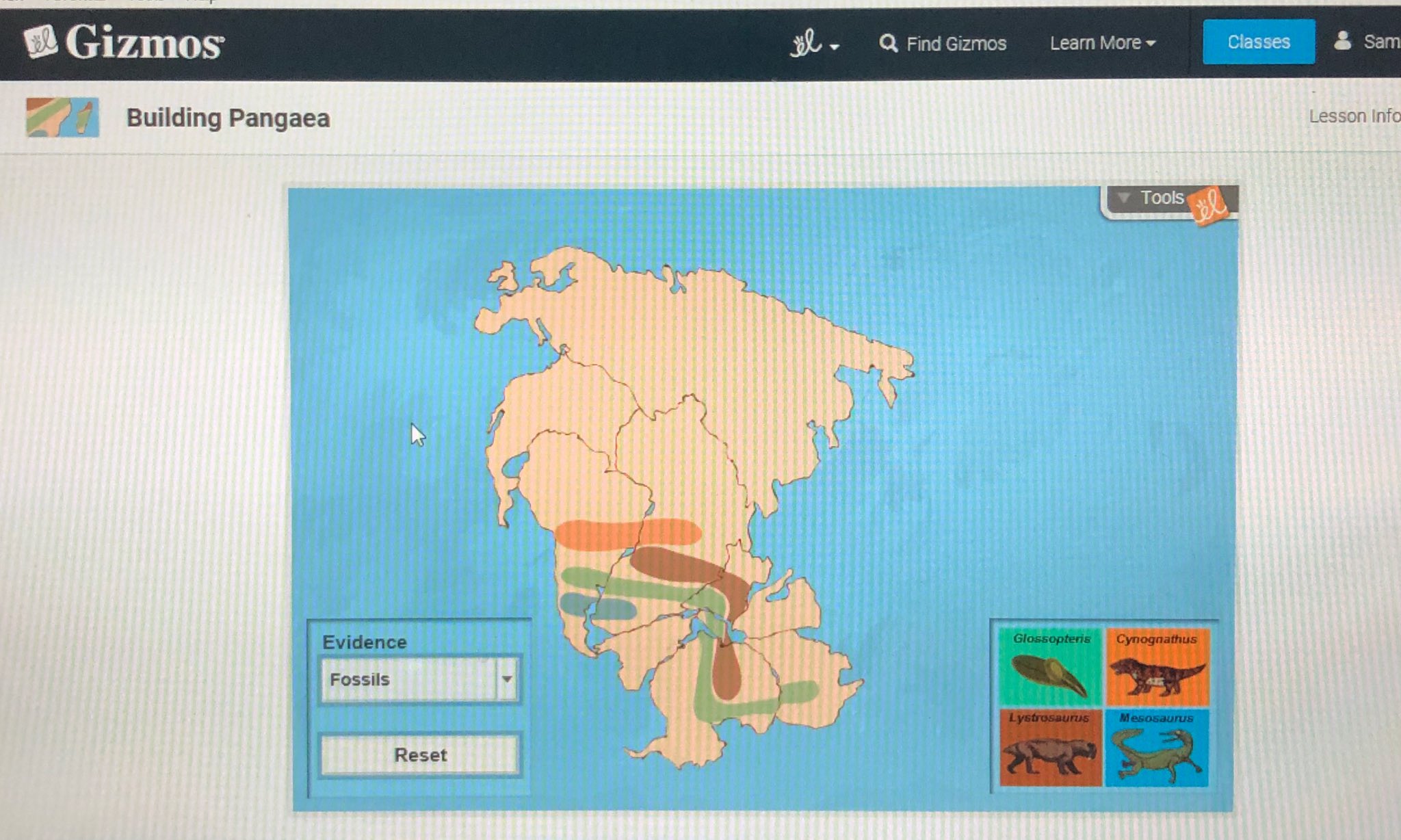 Shobica Wadhwa On Twitter It Was A Fun Challenge For Students To Build The Super Continent Pangaea On Explorelearning Today Platetectonics Continents As Puzzles Https T Co Bpm119kviz Twitter
