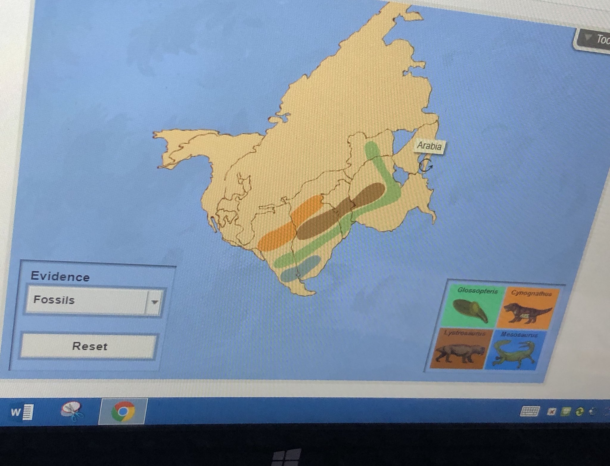 Shobica Wadhwa On Twitter It Was A Fun Challenge For Students To Build The Super Continent Pangaea On Explorelearning Today Platetectonics Continents As Puzzles Https T Co 1pvw6vgvzk