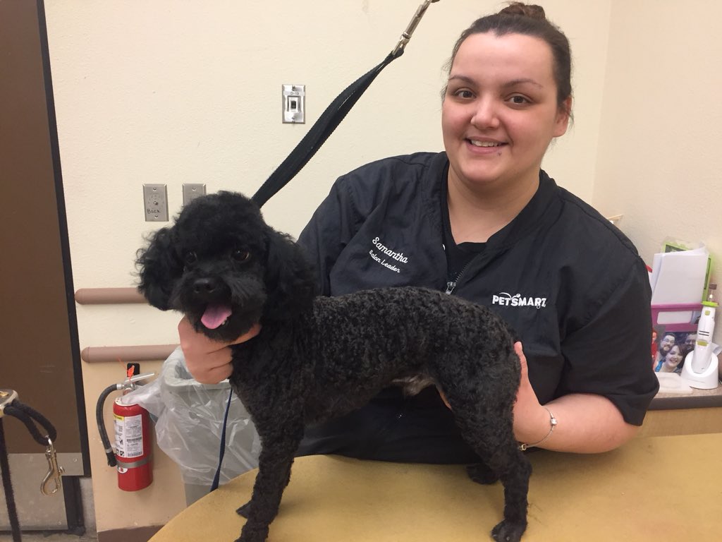 Another #extrememakeover at store #1617 ! Stylist: Samantha #northeastgrooming #snj