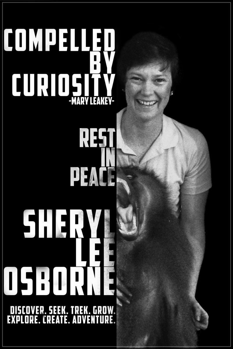 ScienceMarchSD's tweet photo. We received a touching tribute and donation to the #sciencemarchsd in memory of Sheryl Lee Osborne, who pioneered developments in the biomedical infrastructure of gene therapy, stem cell and translational medicine https://t.co/g9CRoZVfh8 https://t.co/3gHdfE0OXX