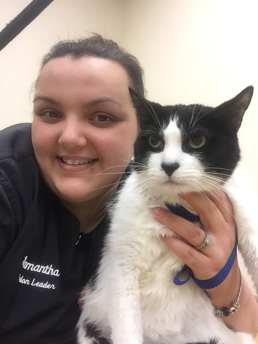 Mom treated this gentleman to a Top Cat package to soothe his dry flaky skin 😸 #northeastgrooming #snj #1617 #extrememakeover