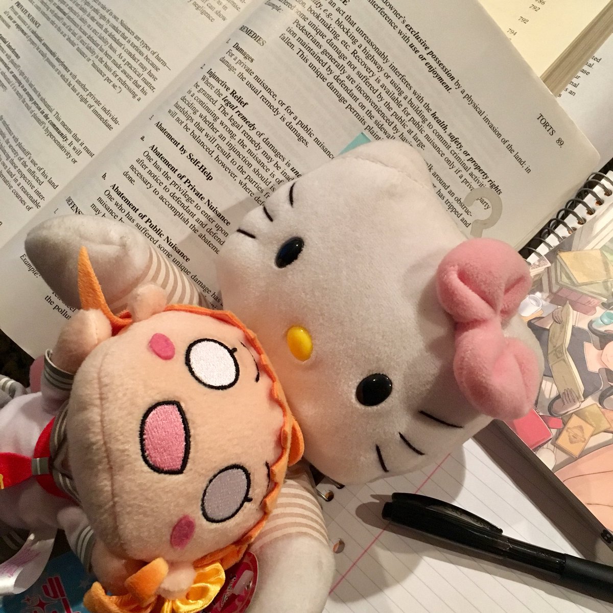 rdsathene's tweet image. Friday night studying for Monday&apos;s Real Property midterm. #lawschoolproblems #lawstudentproblems