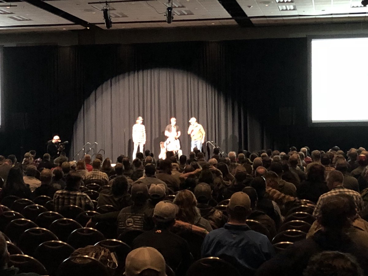 tim_brass's tweet photo. Naming the baby llama at #Rende2018 https://t.co/ccjd3iDe5W