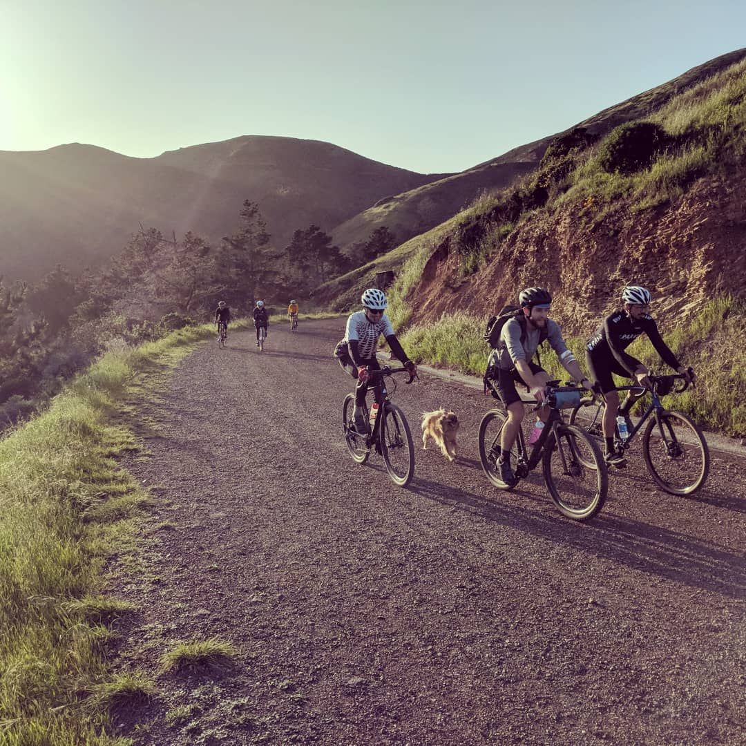 thesisbike's tweet photo. Bike dogs pack a formidable power-to-weight ratio.
.
.
.
.
.
#bikedog #roadslikethese #stammtischride #outsideisfree #dogslife #dogsofinstagram #groupride #LogOffRideOn #cyclist #cyclingphotos #cycling #cyclingshots #thesisbike #gravelriding #gravelbike #roadcycling #bikes https://t.co/76Lxrhc0W0