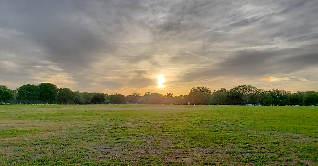 AnthonyMarando_'s tweet photo. "When the sun has set, no candle can replace it." 📸🌅🌱🍃🌳✌&💚.
•
•
•
#GeorgeRRMartin #Photography #Sunset #Nature #BlueJacketPark #Orlando #Florida https://t.co/oIWw6qIKE6