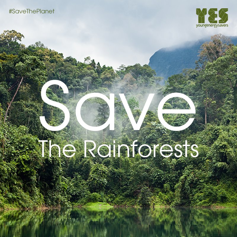 Young Energy Savers tweet media