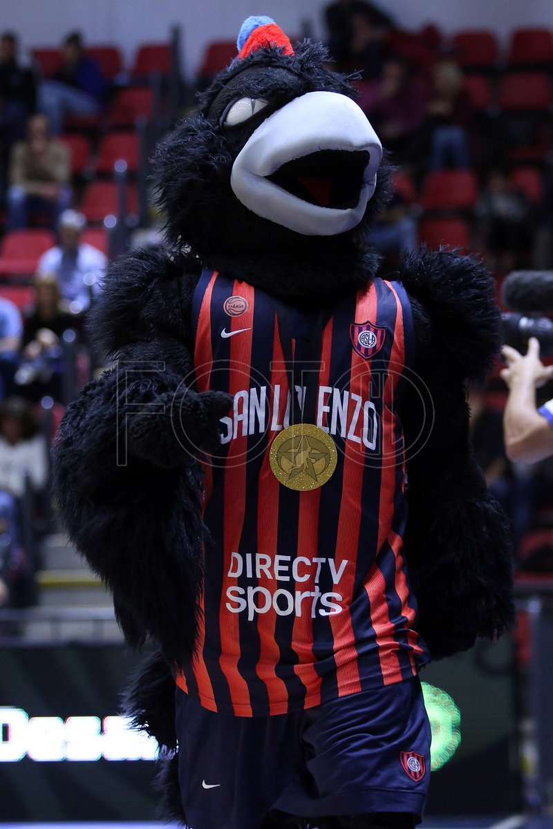 FotosSL's tweet photo. Cuervo de America #BasquetSL #SanLorenzo https://t.co/3hVz3ohUhN