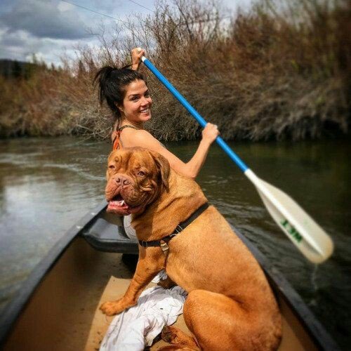 leacwilson's tweet photo. and since the beginning i loved you #PetWeek #slsheroes https://t.co/sXtep0UEsZ