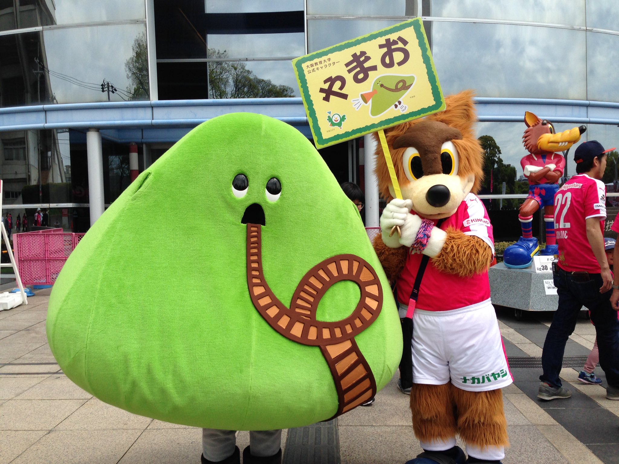 大阪教育大学 公式 今日は大教大セレッソ大阪応援デー ヤンマースタジアムにやまおがやってきました セレッソ大阪のキャラクター ロビー と入学式以来の再会 大阪教育大学 大教大 大教 セレッソ大阪 T Co Bn2hk3onhq Twitter