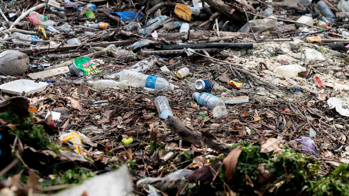 Temasek's tweet photo. Want to #SaveOurDolphins? We need to reduce #PlasticWaste in our waters! #ABCWorld https://t.co/RaNQA1oCTr