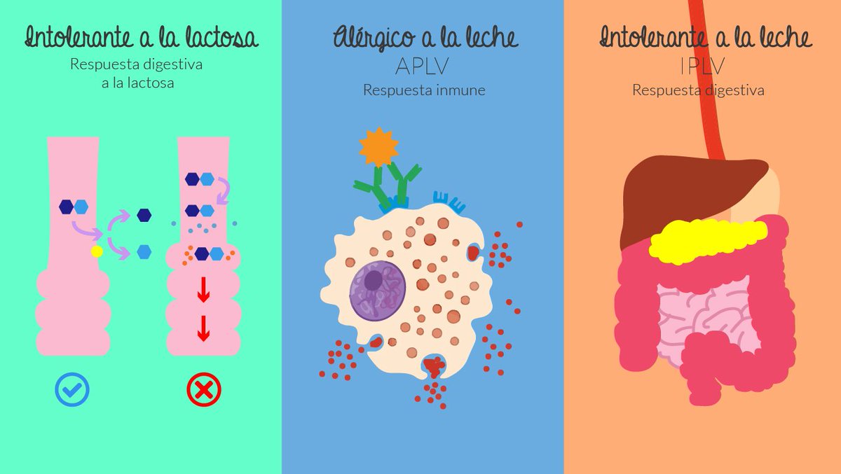 Como saber si soy intolerante a la lactosa