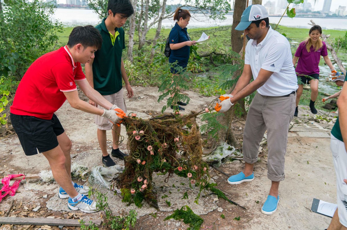 Temasek's tweet photo. Want to #SaveOurDolphins? We need to reduce #PlasticWaste in our waters! #ABCWorld https://t.co/RaNQA1oCTr
