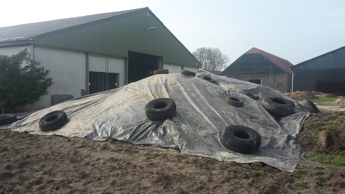 Brielse Boer akkerbouw 🚜 evenementenlocatie 🎉 tweet media