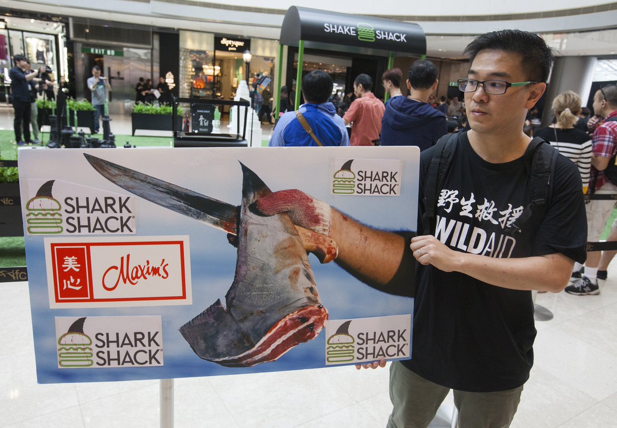 WildAidHK's tweet photo. More photos from our @shakeshack action today to #savesharks!
Come on @shakeshack, do the right thing? Ditch Maxim's.
#SharkShack
#StandForSomethingBad
#CSRFail
#PRFail https://t.co/aRmLfRG5NS