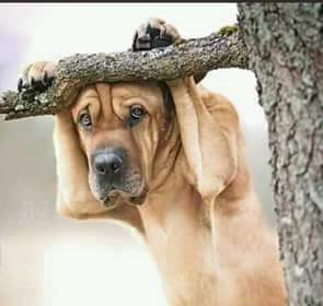Omarly_gaddafi's tweet photo. #IfikieWazazi  ukijia ishafikia wazazi https://t.co/PxyBfERJKs