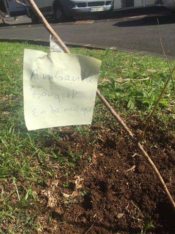 IenSteSuzRun's tweet photo. Mardi 10 avril 2018, deux classes de CM2 de l'école José BARAU se sont rendus au SIDELEC pour planter deux arbres endémiques en partenariat avec la mairie de Ste-Suzanne dans le cadre de la journée nationale de l'arbre, soutenue par la Région.@academiereunion https://t.co/pOu9gtFHDC