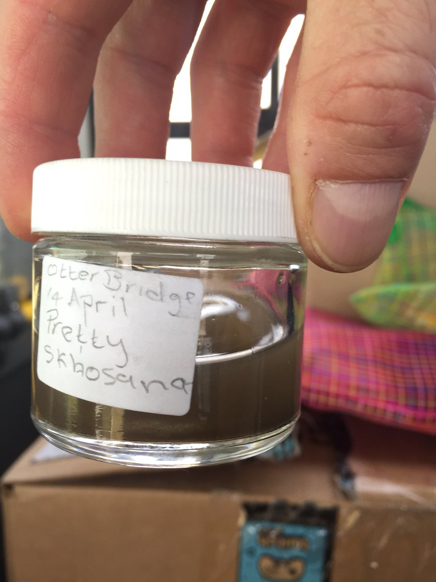 BohemianTeach's tweet photo. First #water samples of the day: collected! The #MaeJSciClub #teens are looking at two different locations where the water comes in to #Rietvlei dam- one location is clean, and one...isn’t. 💦 @USEmbassySA https://t.co/gLgCfwYCfl