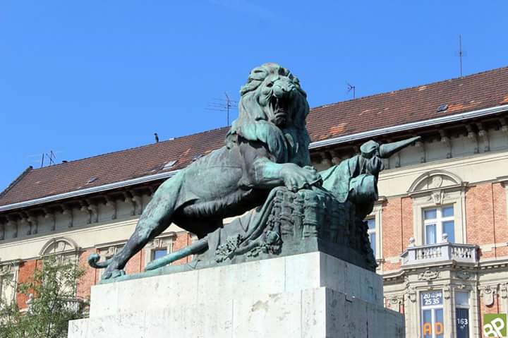 WUmbrellaTours's tweet photo. Al cruzar el puente #Margarita, camino de #Buda, se encuentra uno de los leones más impresionantes de #Budapest. Fue creado en 1932, en honor a los defensores #húngaros que en el año 1915 protegieron  la fortaleza de #Przemysl, situada en el sur de #Polonia.
@WUTBudapest https://t.co/NBlIi6Xyv8