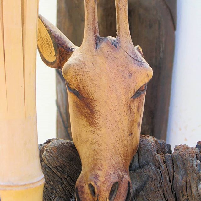 AbavukiMusic's tweet photo. Wildlife at Inverdoorn near Ceres https://t.co/NuhtmMlGl5