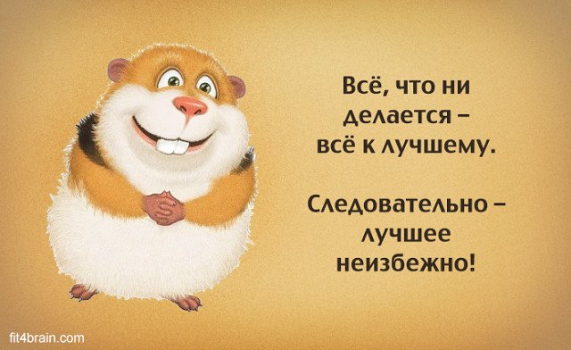 Виктор Тимофеев tweet media