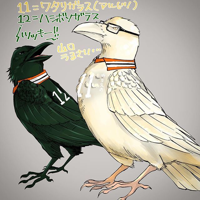 アントニオ Twitterren 烏野カラス図鑑 ハイキュー イラスト T Co 9q47llpb26